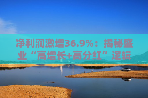 净利润激增36.9%：揭秘盛业“高增长+高分红”逻辑