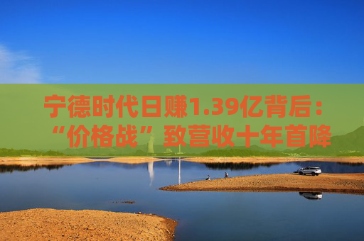 宁德时代日赚1.39亿背后：“价格战”致营收十年首降，储能出海拉高利润水平  第1张