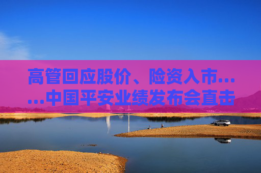 高管回应股价、险资入市……中国平安业绩发布会直击