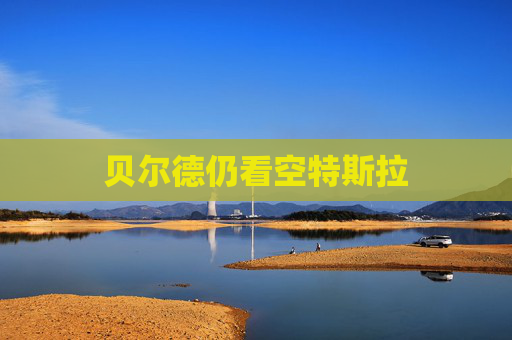 贝尔德仍看空特斯拉  第1张