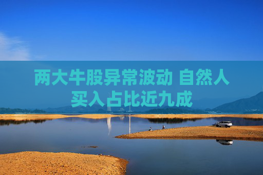 两大牛股异常波动 自然人买入占比近九成
