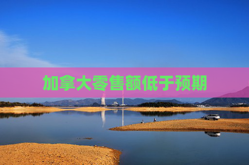 加拿大零售额低于预期  第1张