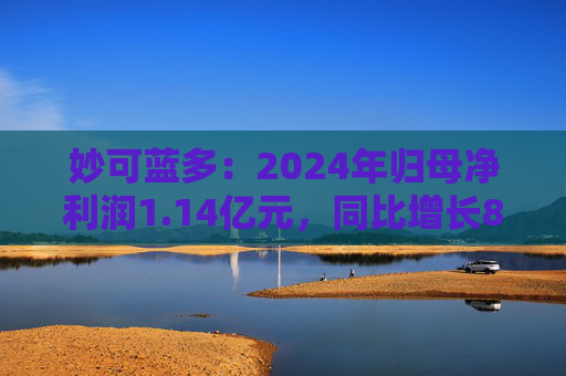 妙可蓝多：2024年归母净利润1.14亿元，同比增长89.16%  第1张