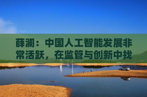 薛澜：中国人工智能发展非常活跃，在监管与创新中找到平衡  第1张
