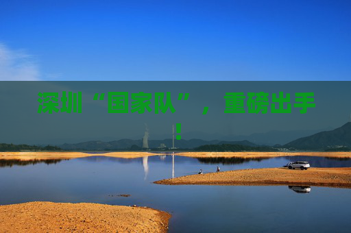深圳“国家队”，重磅出手！  第1张