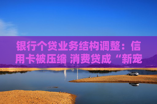 银行个贷业务结构调整：信用卡被压缩 消费贷成“新宠”  第1张