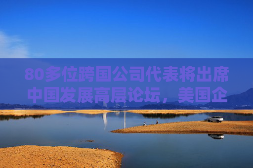 80多位跨国公司代表将出席中国发展高层论坛，美国企业最多  第1张
