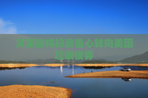 贝莱德将投资重心转向美国垃圾债券