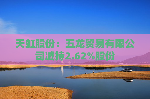 天虹股份：五龙贸易有限公司减持2.62%股份  第1张