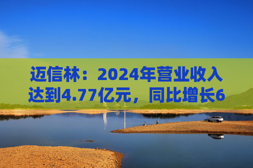 迈信林：2024年营业收入达到4.77亿元，同比增长62.38%  第1张