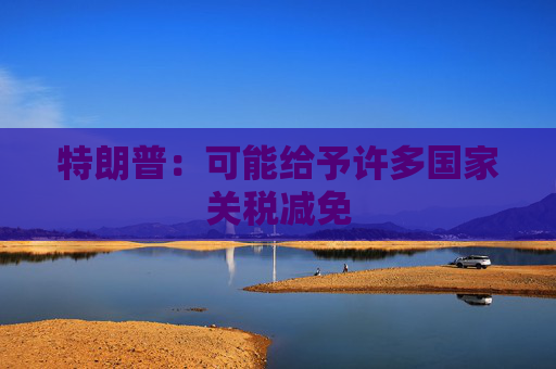 特朗普：可能给予许多国家关税减免  第1张