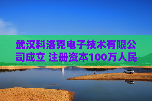 武汉科洛克电子技术有限公司成立 注册资本100万人民币