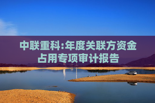 中联重科:年度关联方资金占用专项审计报告