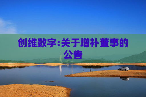 创维数字:关于增补董事的公告