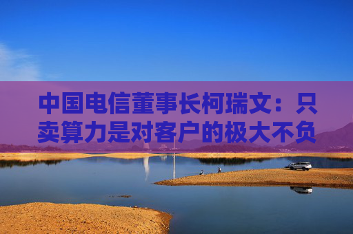 中国电信董事长柯瑞文：只卖算力是对客户的极大不负责