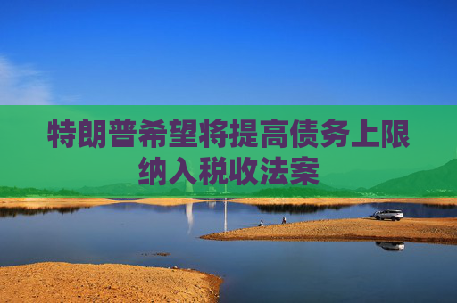 特朗普希望将提高债务上限纳入税收法案