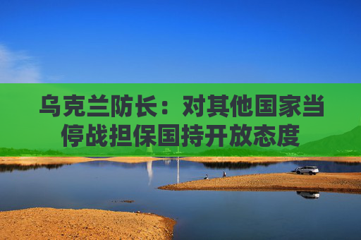 乌克兰防长：对其他国家当停战担保国持开放态度  第1张