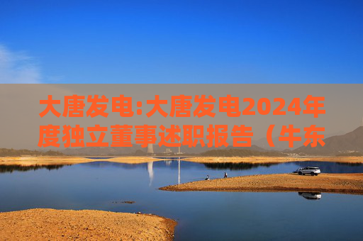 大唐发电:大唐发电2024年度独立董事述职报告（牛东晓）  第1张