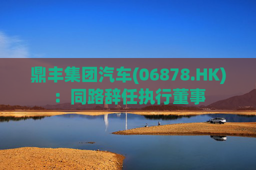 鼎丰集团汽车(06878.HK)：同路辞任执行董事