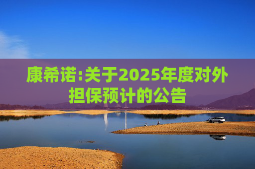 康希诺:关于2025年度对外担保预计的公告  第1张
