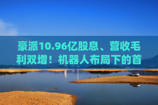 豪派10.96亿股息、营收毛利双增！机器人布局下的首程控股(0697.HK)喜提2024年报  第1张