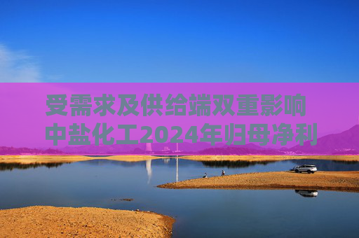 受需求及供给端双重影响 中盐化工2024年归母净利润下降56.32%