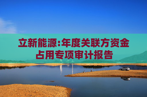 立新能源:年度关联方资金占用专项审计报告  第1张