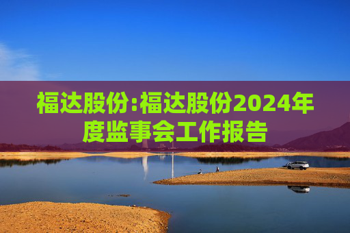 福达股份:福达股份2024年度监事会工作报告