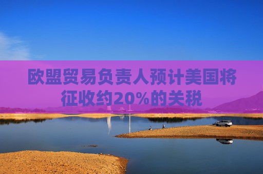 欧盟贸易负责人预计美国将征收约20%的关税  第1张