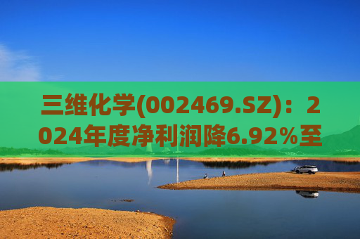 三维化学(002469.SZ)：2024年度净利润降6.92%至2.63亿元 拟10派3元  第1张