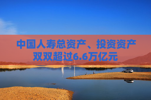 中国人寿总资产、投资资产双双超过6.6万亿元