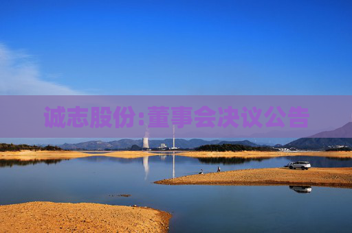 诚志股份:董事会决议公告