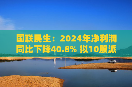 国联民生：2024年净利润同比下降40.8% 拟10股派0.56元  第1张