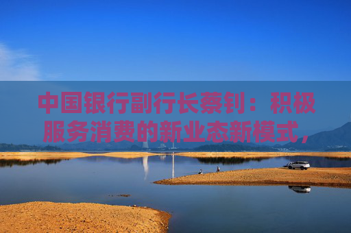 中国银行副行长蔡钊：积极服务消费的新业态新模式，深度融合消费场景，支持平台经济创新发展