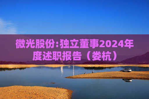 微光股份:独立董事2024年度述职报告（娄杭）