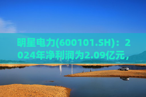 明星电力(600101.SH)：2024年净利润为2.09亿元，同比上升16.7%  第1张