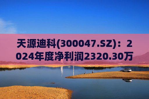 天源迪科(300047.SZ)：2024年度净利润2320.30万元 拟10派0.15元  第1张
