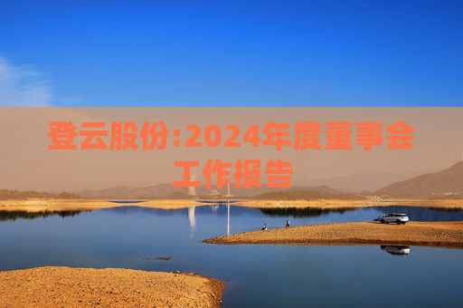 登云股份:2024年度董事会工作报告  第1张