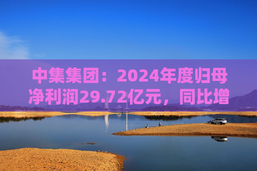 中集集团：2024年度归母净利润29.72亿元，同比增长605.60%  第1张
