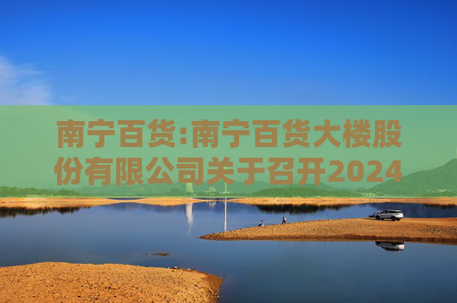 南宁百货:南宁百货大楼股份有限公司关于召开2024年年度股东大会的通知  第1张