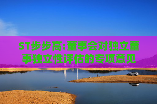 ST步步高:董事会对独立董事独立性评估的专项意见
