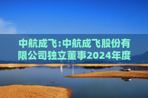 中航成飞:中航成飞股份有限公司独立董事2024年度述职报告（汪方军已离任）