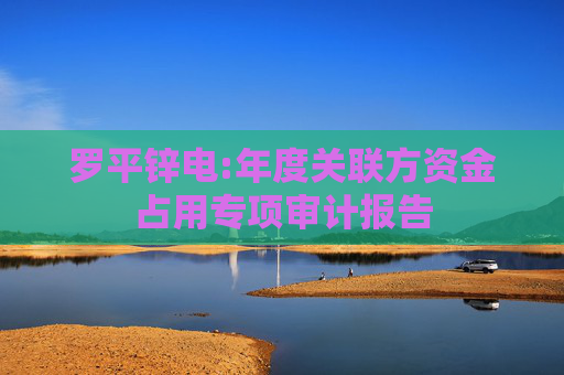 罗平锌电:年度关联方资金占用专项审计报告
