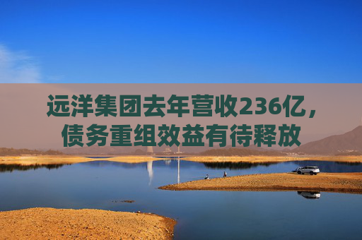 远洋集团去年营收236亿，债务重组效益有待释放
