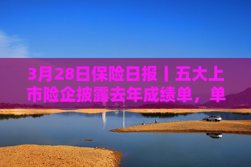 3月28日保险日报丨五大上市险企披露去年成绩单，单季“举牌”超10次，保险资金加大入市步伐