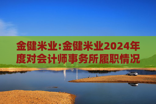金健米业:金健米业2024年度对会计师事务所履职情况的评估报告