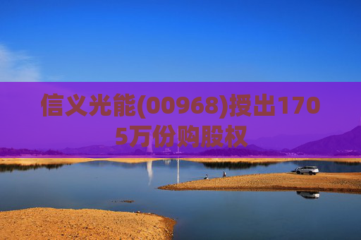 信义光能(00968)授出1705万份购股权  第1张