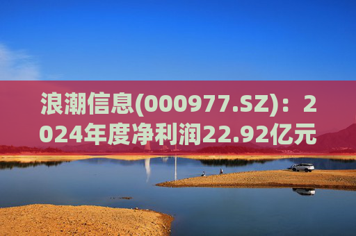 浪潮信息(000977.SZ)：2024年度净利润22.92亿元 拟10派1.15元  第1张