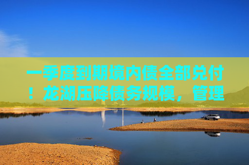 一季度到期境内债全部兑付！龙湖压降债务规模，管理层：今年是债务转换关键年  第1张