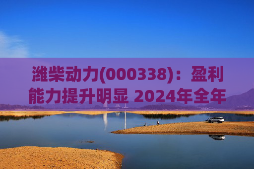 潍柴动力(000338)：盈利能力提升明显 2024年全年业绩超预期